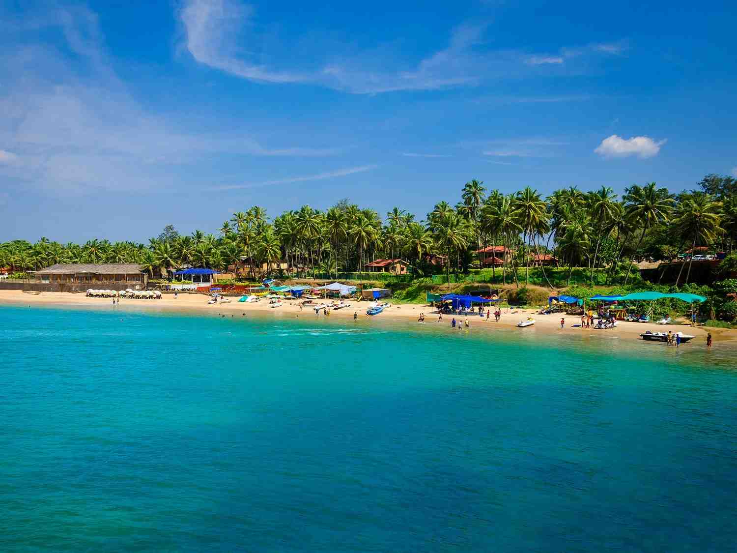 Goa Landscape
