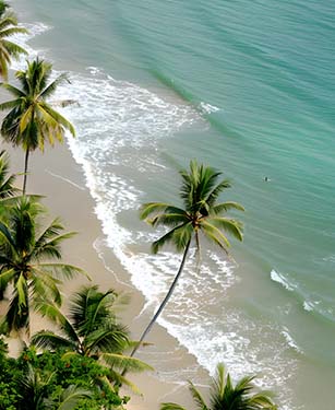 indian-paradise-goa